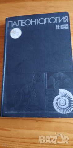 Палеонтология - Друщиц В.В., Обручева О.П., снимка 1