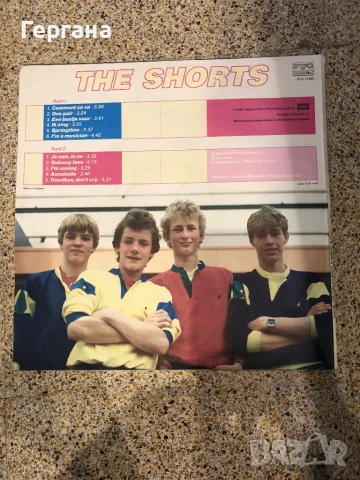 Грамофонни плочи, снимка 2 - Грамофонни плочи - 53938338