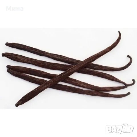 Мадагаскарска ванилия на шушулки, снимка 4 - Други - 48425355