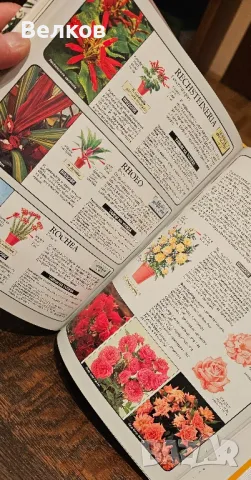 Експерт по стайните растения" - книга на д-р Д. Д. Xecaйон, снимка 3 - Специализирана литература - 48175543