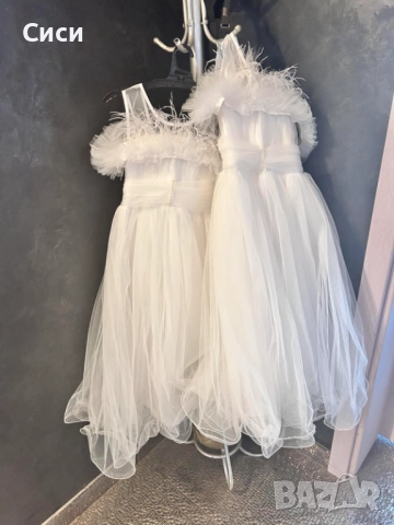 Рокли за Шаферки