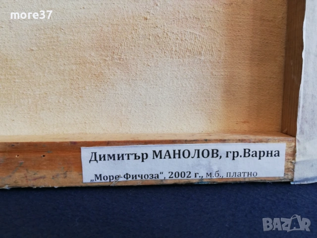 2 Картини-Море и Кукери, снимка 5 - Картини - 53942653