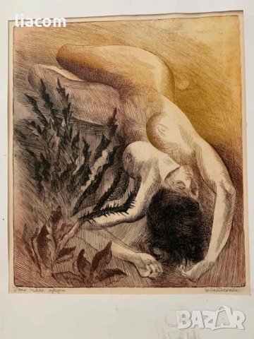 ЕЛКА НАЙДЕНОВА диптих, снимка 5 - Картини - 33822647