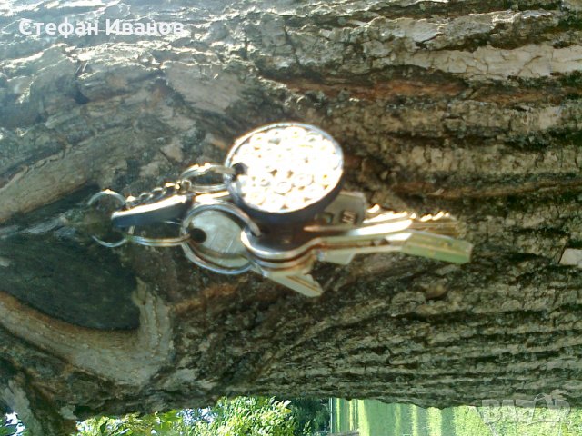 Изгубени ключове в гр. Видин, снимка 1