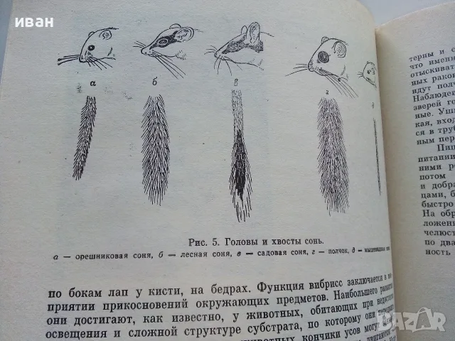 Сони - А.Е.Айрапетьянц - 1983г., снимка 4 - Наука, техника и компютри - 56207943
