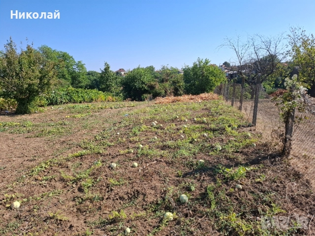 Имот в с. Калипетрово 1194 кв.м., снимка 14 - Парцели - 51746563