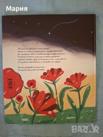 Малкият Рой, Виолета Христова, снимка 2 - Детски книжки - 50918973