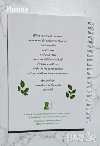 James Joyce's "A Portrait of the Artist as a Young Man" in quotation selections, снимка 7 - Чуждоезиково обучение, речници - 54081340