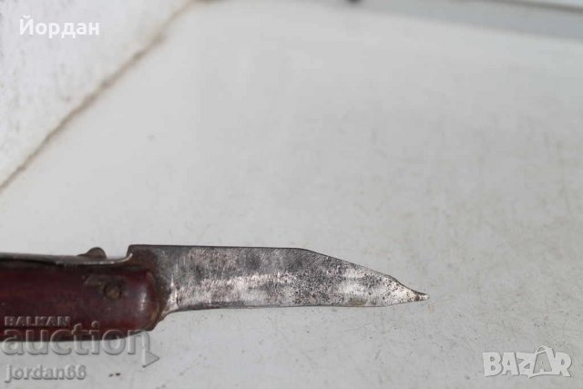 Немска ножка окапи, снимка 2 - Колекции - 39710350