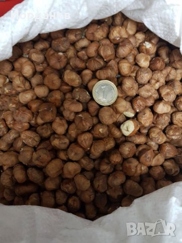 Български лешници без черупка - реколта 2025 г., снимка 3 - Други - 35210181