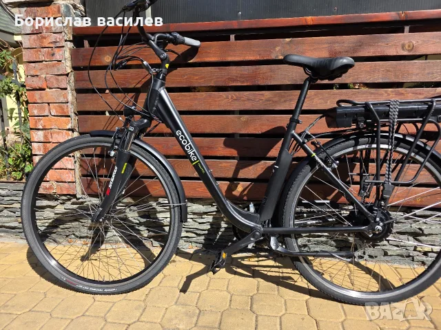 Ecobike traffic pro 350 