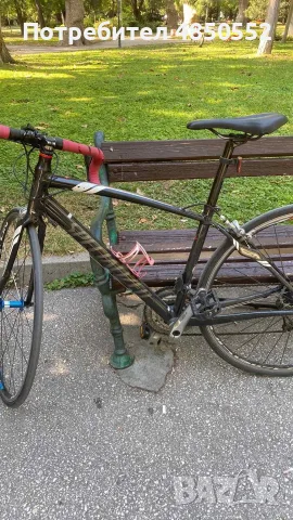 Spezialized dolce elite road bike