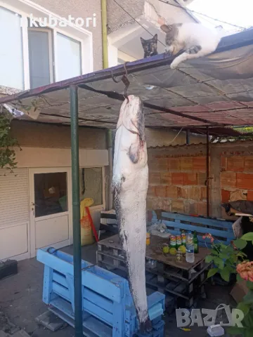  Електровъдици с различни мощности и екстпи, снимка 3 - Друга електроника - 43907054