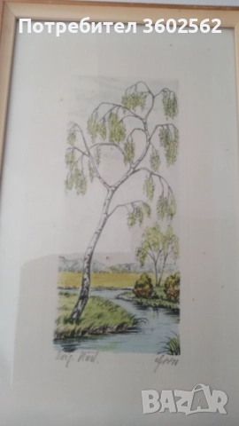 две офортни графики - ръчно оцветени , подписани, снимка 2 - Картини - 51729883