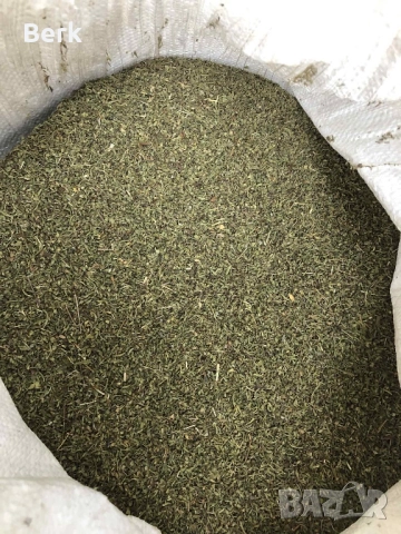 Чубрица реколта 2024, снимка 4 - Домашни продукти - 52600807