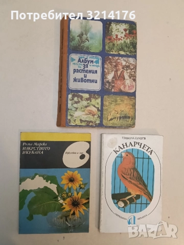 Изкуството икебана - Рима Мирска