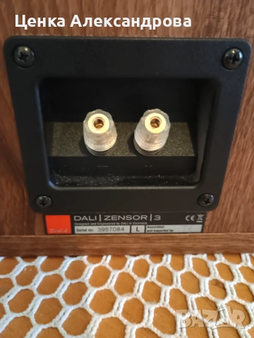 DALI Zensor , снимка 7 - Тонколони - 53363356
