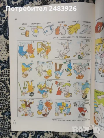 The Golden picture dictionary  Lucille Ogle, Tina Thoburn, снимка 3 - Учебници, учебни тетрадки - 55974606