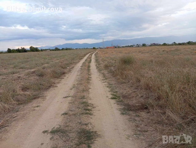 Под наем земеделска земя за развиване на бизнес, снимка 5 - Земеделска земя - 52661181