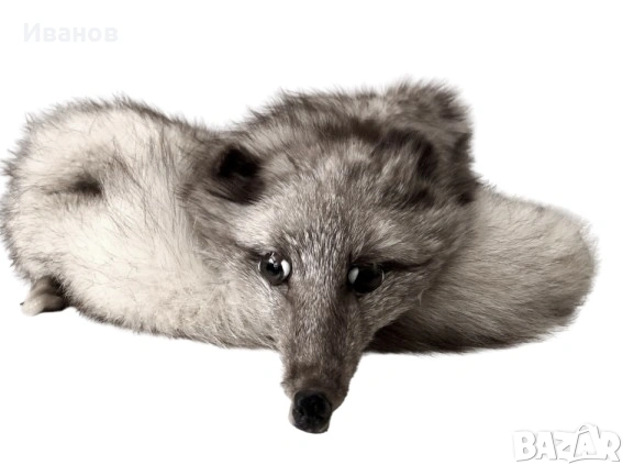 Топ цена - 29€. Шал/Яка от Сребърна лисица - Естествена кожа, снимка 2 - Шалове - 53606436