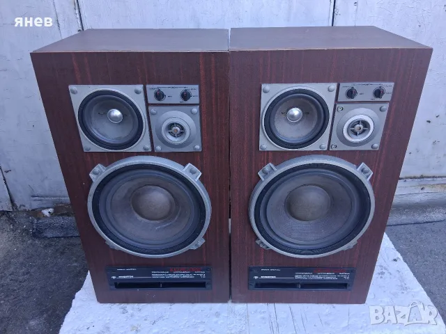 Амфитон 100АС-022 , снимка 2 - Тонколони - 56130946