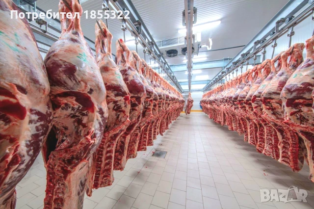 Работа във Великобритания , снимка 2 - Работа в Англия - 51430794