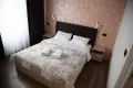 НОВА ГОДИНА 2027 В ЗАЙЧАР, СЪРБИЯ, снимка 2