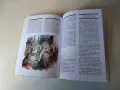 много красива и илюстрована цветно детска библия за деца , снимка 10