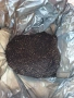 Продавам компост от калифорнийски червеи, снимка 2