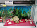 Нов аквариум за рибки, снимка 2