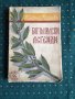 Николай Райнов - Богомилски легенди С АВТОГРАФ! 1938г., снимка 1 - Други - 30965105