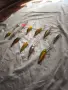 Комплект 12 бр. воблери – 5x Bassdream, 4x Rapala, 2x Salmo, Cordell, снимка 3