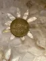 Стара гръцка монета , снимка 2
