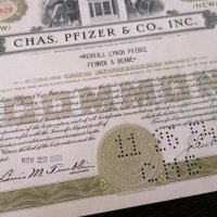 Сертификат за притежание на 100 акции (САЩ) | Chas. Pfizer & Co. Inc. | 1954г., снимка 3 - Други ценни предмети - 29149819