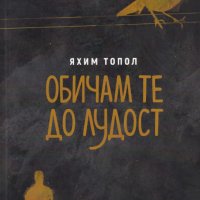 Обичам те до лудост, снимка 1 - Художествена литература - 29965377