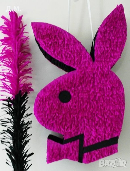 Пинята пейбой, снимка 1