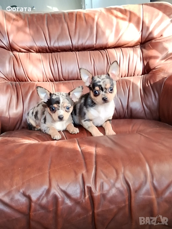 Продават се, снимка 1