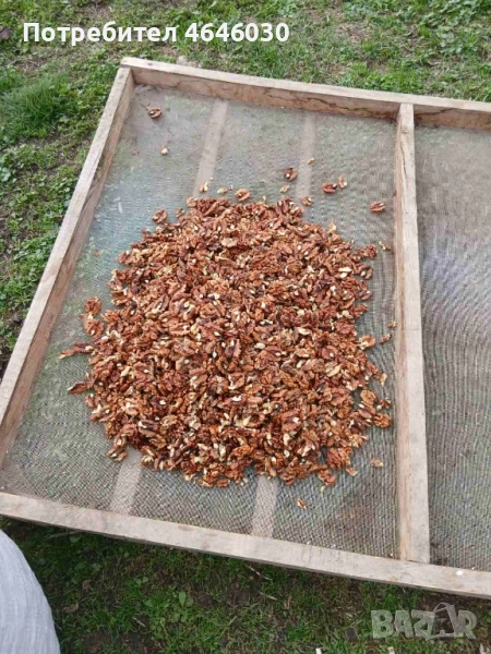 продавам орехова ядка, светъл махагон , реколта 2025 само на едро., снимка 1