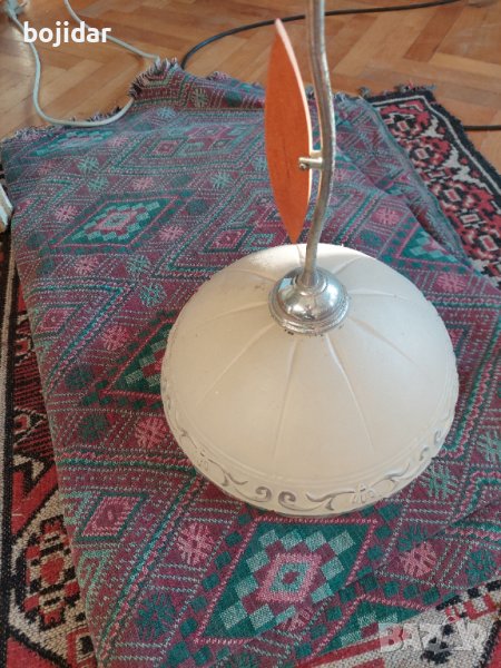 Полилеи, снимка 1