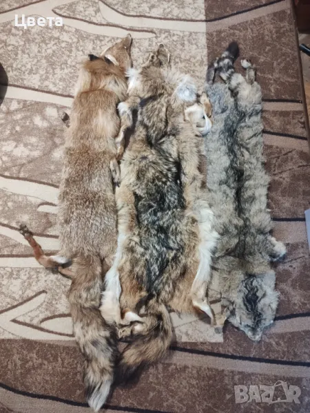 Кожи обработени, снимка 1