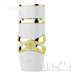 мъжки и дамски парфюми на едро 