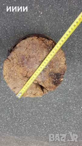 Буталка чутора бучка, снимка 5 - Антикварни и старинни предмети - 53282793