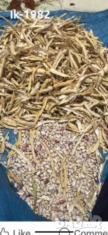 Шарен боб от Родопите