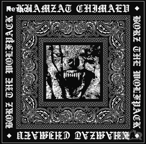 Хамзат Чимаев - BORZ !! Оригинален MMA тишърт, снимка 2 - Тениски - 51385547