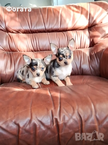 Продават се