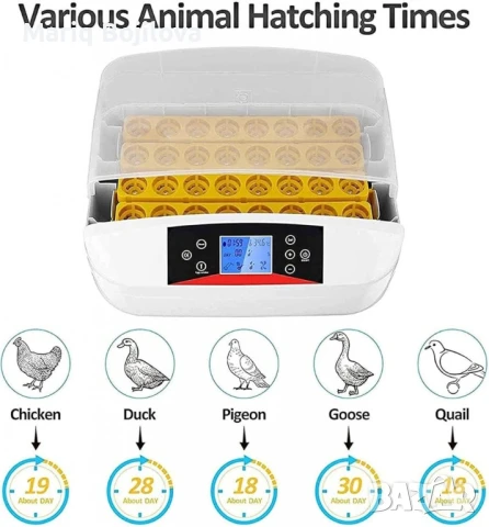 Инкубатор за яйца – 42 яйца с LED дисплей и автоматичен контрол, снимка 4 - Друга електроника - 48883349