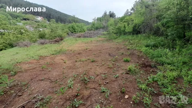 парцел в местността Черния мост , снимка 4 - Парцели - 49732246