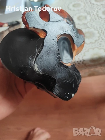 Куче касичка., снимка 5 - Други - 51389843