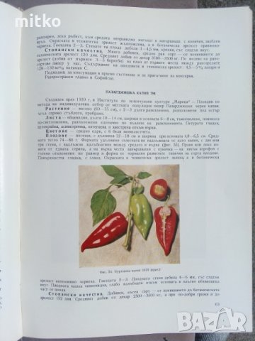 Апробация на зеленчуковите култури - 1966 г., атлас, снимка 10 - Енциклопедии, справочници - 30732567