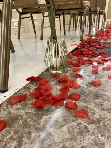 Овални бели плата за декорация 3 бр, снимка 8 - Декорация за дома - 52571219